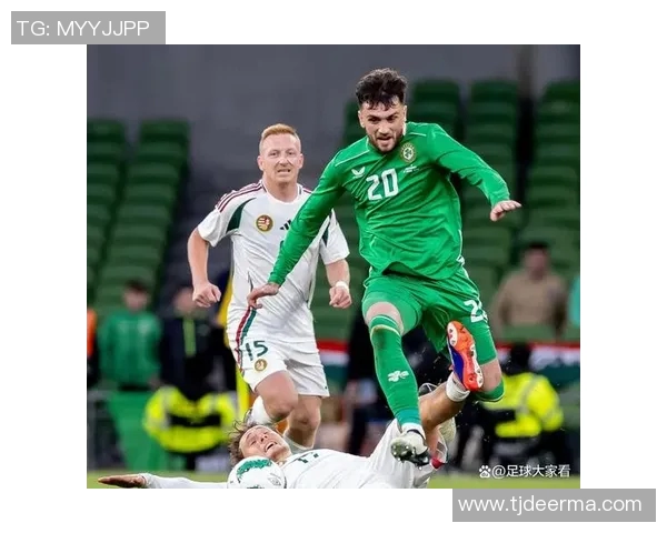 爱尔兰足球历史十大传奇球星及其代表性瞬间回顾